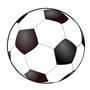 yssl standings